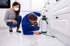 Professional Pest control in Bude, MS